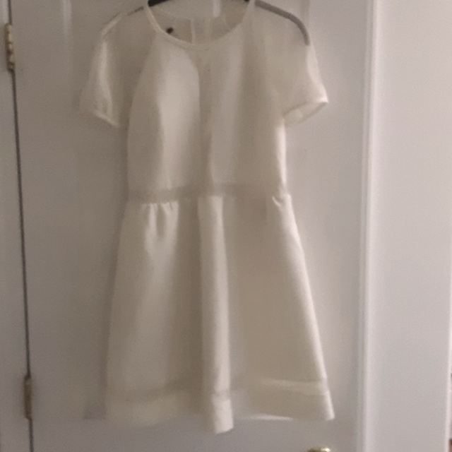 Neoprene Dress
